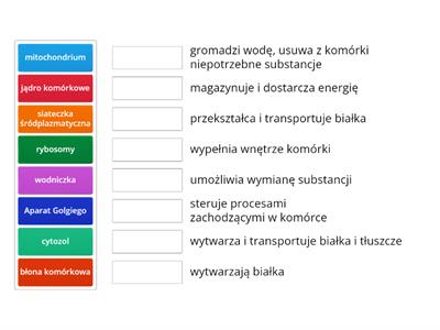 Funkcje organelli komórkowych - komórka zwierzęca