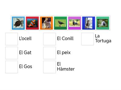 Animals domèstics en català A1