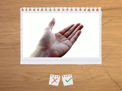 Тренажёр по чтению(урок 1-3)