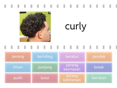Rupa Year 7 ( Rambut)