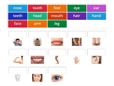 Prepare 5 NUS. Unit 5. Body parts