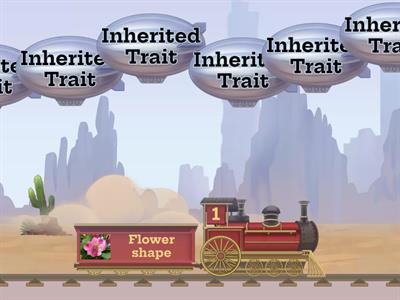 Inherited and Acquired Traits Balloon Pop