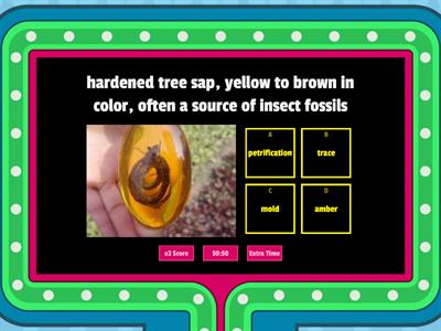 Fossils - Gameshow Quiz - Grade 3