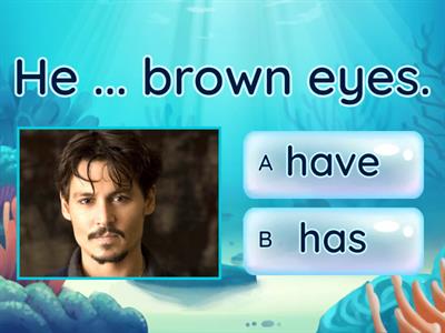 Have/has, Rainbow 3 (+)