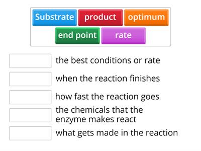 Enzyme match up