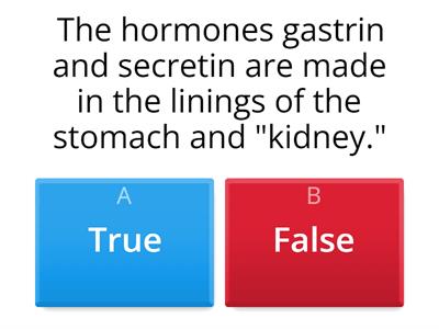 Endocrine System