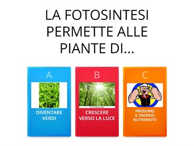 Piante: FOTOSINTESI E RESPIRAZIONE