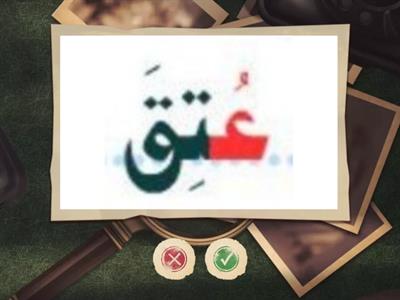 الضمة 16