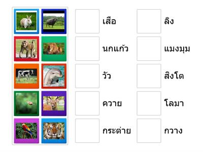 จับคู่ภาพของสัตว์