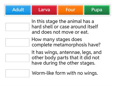Complete Metamorphosis 