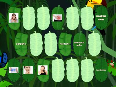 AS4 Unit 5 Vocabulary Illnesses and Injuries