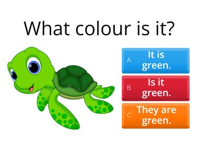 1BU5 G1 What colour is it ? What colour are they?