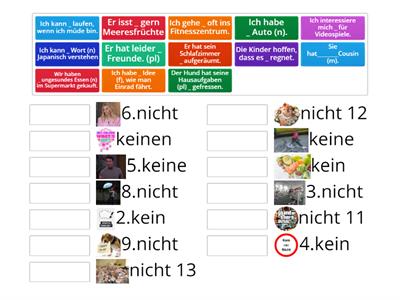 Netzwerk B1 K9 Verneinung/kein oder nicht