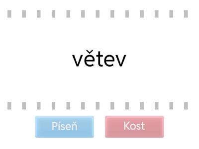 Vzory rodu ženského