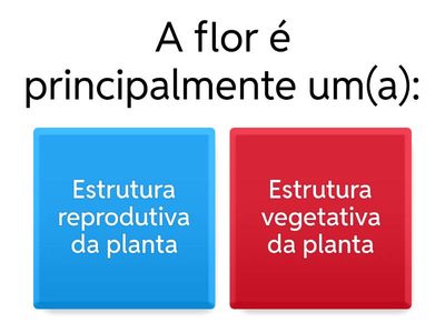 QUIZ - MORFOANATOMIA DA FLOR 🌺