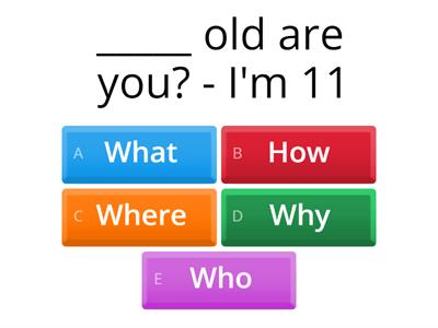 Think Starter Unit 1 question words