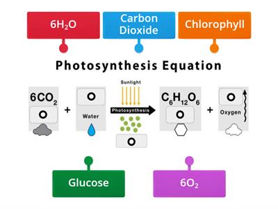 Photosynthesis Equation