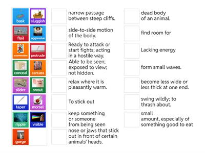 Wordly Wise: Lesson 13