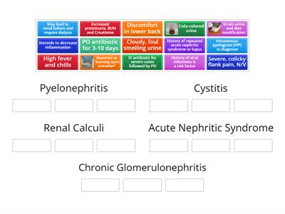 Module 7-Renal