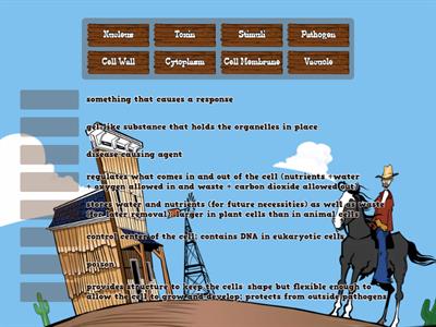 Cells and Organelles