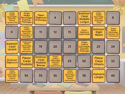 Movers of Upper Limb and Forearm