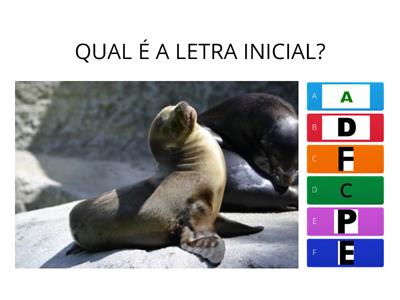  QUAL É A LETRA QUE COMEÇA?