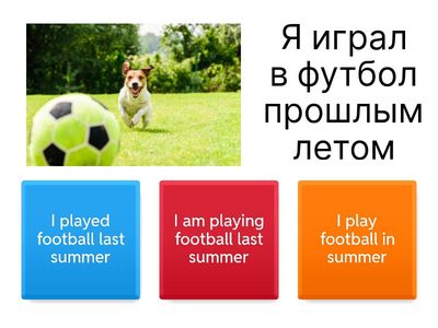 Past Simple Sentences 👀