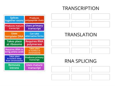 HIGHER BIOLOGY Gene Expression 1