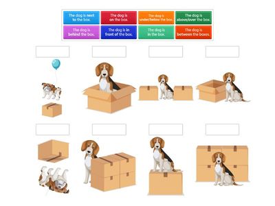 Copy of Prepositions of Place: the dog is ___ the box
