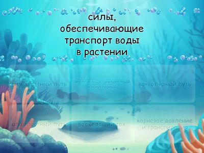 Транспорт веществ. 11 класс.