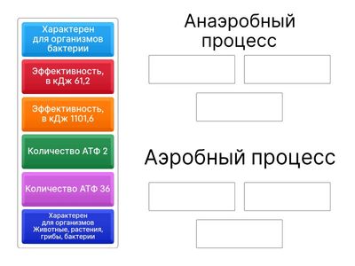 ана и аэробный процесс