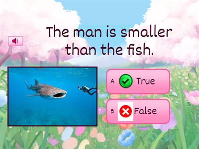 Bigger / smaller / taller / shorter