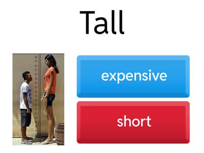 Opposite ZAVAMA TODDLER