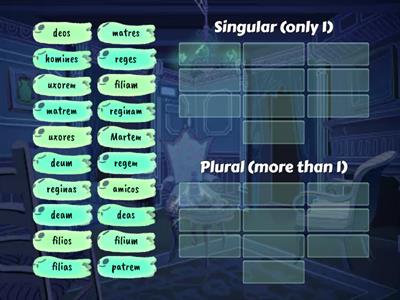 Singular or Plural Accusative?