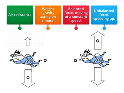 l.c,. physicsForces and movement