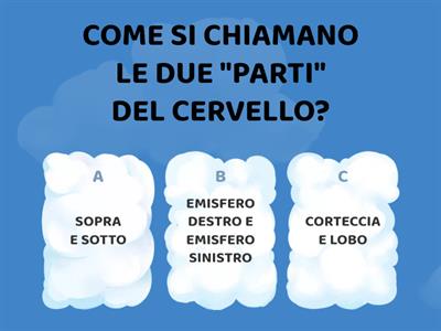 IL SISTEMA NERVOSO