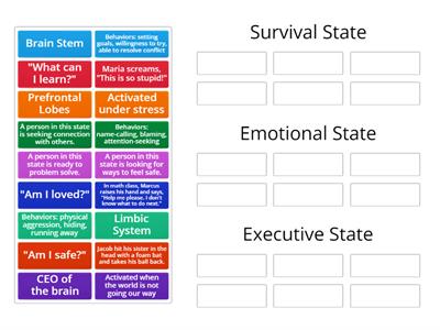 CD Brain States Sort