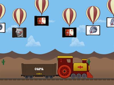 Los músculos  de la cabeza ( Secundaria)