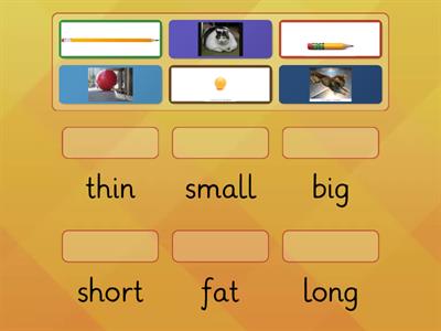 P1 - Match the adjectives and the pictures