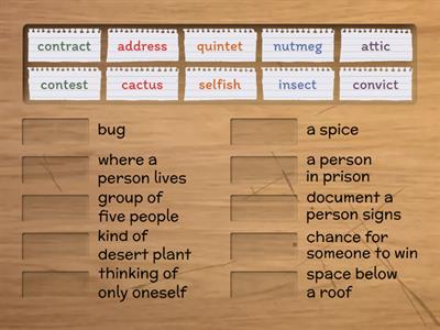 Rabbit & Ostrich Sentence match