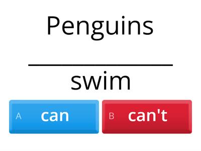 Can/Can't