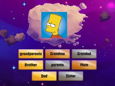 Simpsons FAMILY - Find the match