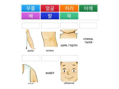 частини тіла