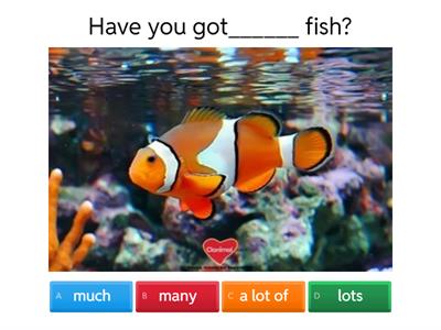 Much/many/a lot of/lots