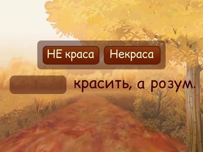 НЕ з іменниками