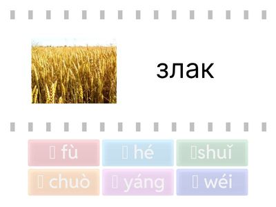 Lesson7 家庭成员 Text1 Radicals