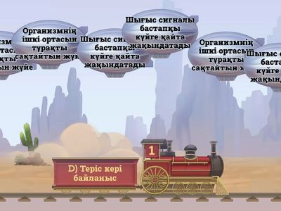 Басқару жүйесі 11