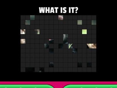 Animals (Learn with Us 3 Unit 1)