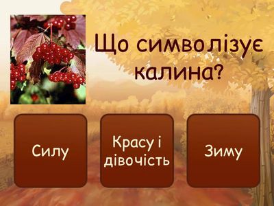 “Символи України”