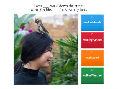 Unit 12 Continuous Past with Simple Past